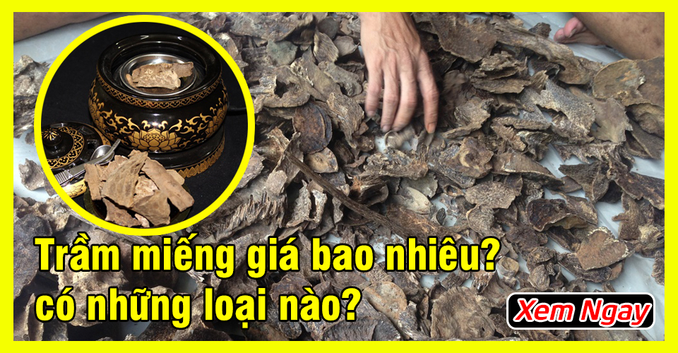Miếng, Vụn, Mảnh Trầm Hương Xông Nhà Có Mấy Loại và Giá Bao Nhiêu? Miếng, Vụn, Mảnh Trầm Hương Xông Nhà Có Mấy Loại và Giá Bao Nhiêu?