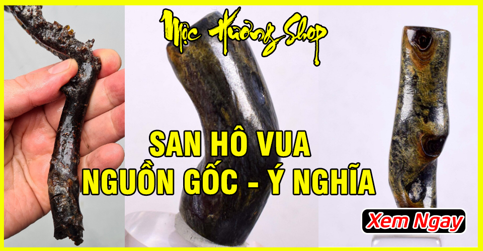 Vòng San Hô Vua Tự Nhiên 100% - Nguồn Gốc và Ý Nghĩa Vòng San Hô Vua Tự Nhiên 100% - Nguồn Gốc và Ý Nghĩa
