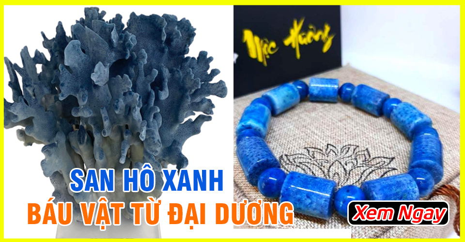 San hô xanh là gì? Tác dụng và hợp với mệnh tuổi nào? San hô xanh là gì? Tác dụng và hợp với mệnh tuổi nào?