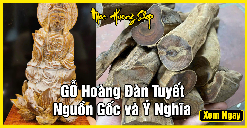 Tất Tần Tận Về Gỗ Hoàng Đàn Tuyết - Nguồn Gốc và Ý Nghĩa