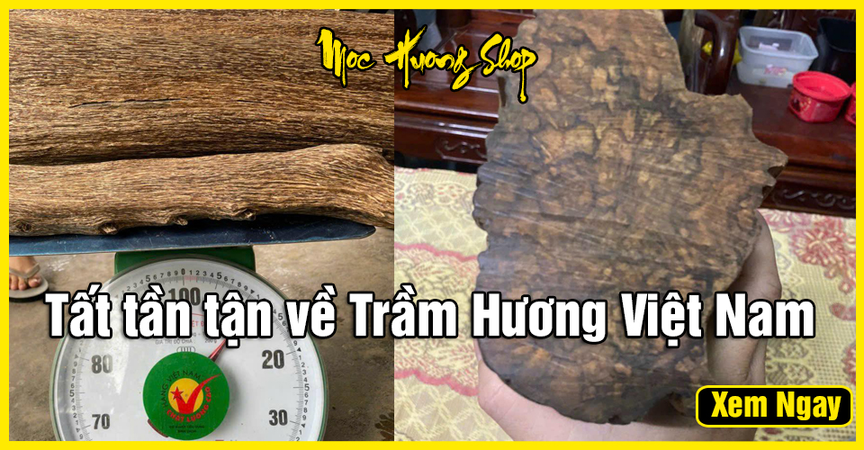 Gỗ Trầm Hương Việt Nam là gì? Phân loại, Giá bán, Cách phân biệt