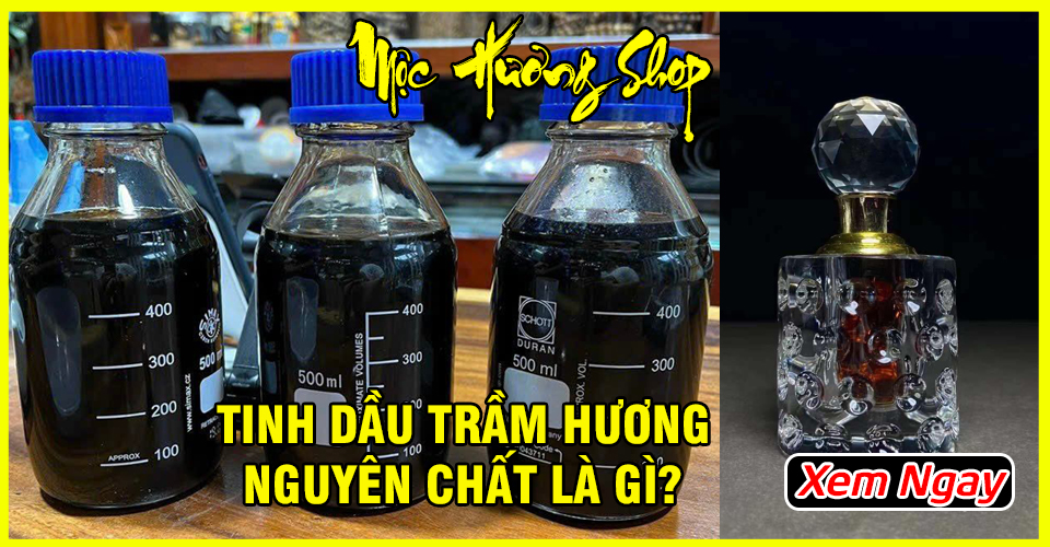 Tinh Dầu Trầm Hương Nguyên Chất là gì? Cách phân biệt thật giả