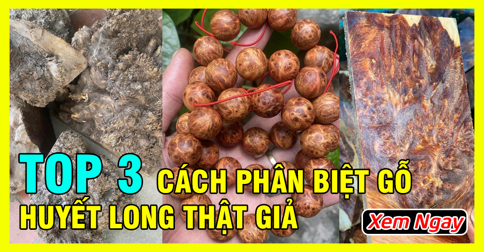 Top 3 cách phân biệt gỗ Huyết Long thật giả quá dễ dàng Top 3 cách phân biệt gỗ Huyết Long thật giả quá dễ dàng