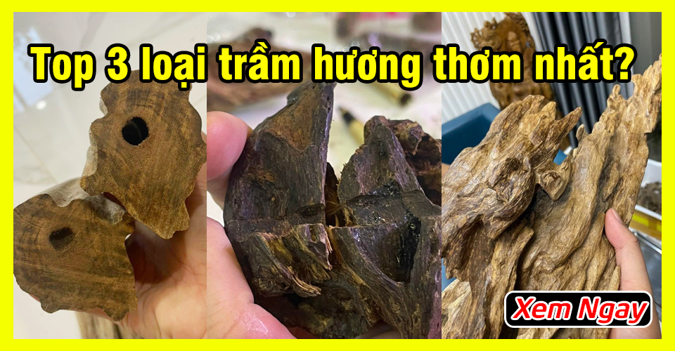 Top 3 loại trầm hương thơm mạnh nhất đại gia luôn săn tìm Top 3 loại trầm hương thơm mạnh nhất đại gia luôn săn tìm