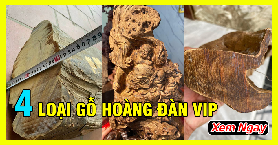 Top 4 loại gỗ hoàng đàn được đại gia săn tìm mua bằng được