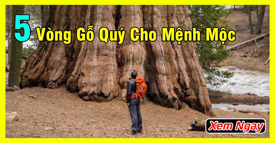 Top 5 vòng tay gỗ phong thủy tốt nhất cho mệnh Mộc năm 2023 Top 5 vòng tay gỗ phong thủy tốt nhất cho mệnh Mộc năm 2023