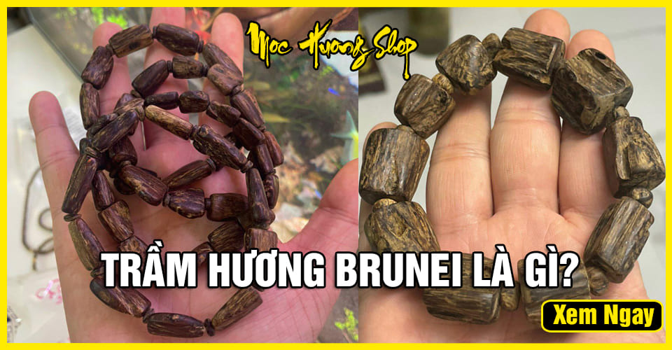 Trầm Hương Brunei (Brunay) Có tốt không? Giá bao nhiêu? Trầm Hương Brunei (Brunay) Có tốt không? Giá bao nhiêu?