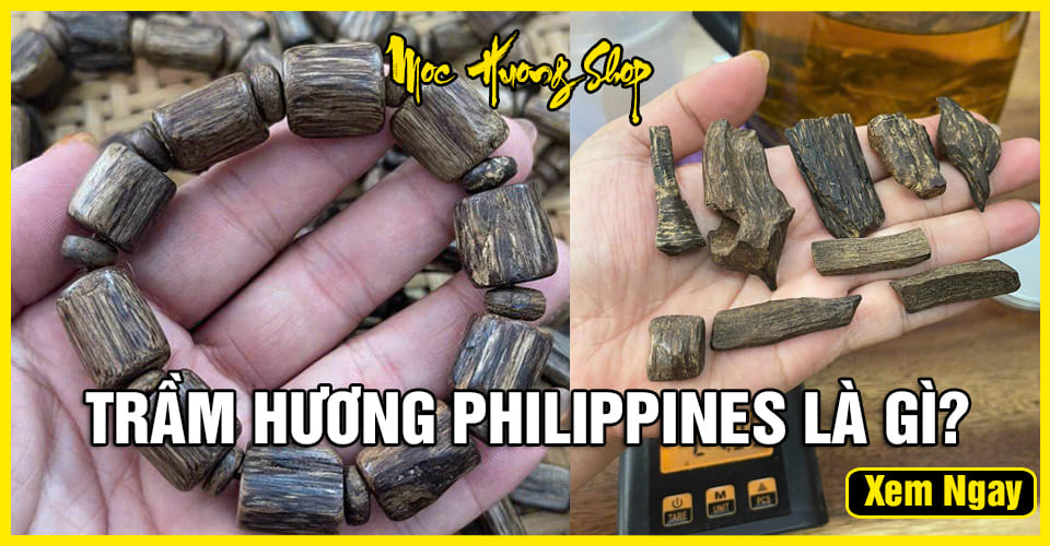 Gỗ Trầm Hương Philippines là gì? - Phân loại, Nguồn gốc và Giá bán Gỗ Trầm Hương Philippines là gì? - Phân loại, Nguồn gốc và Giá bán