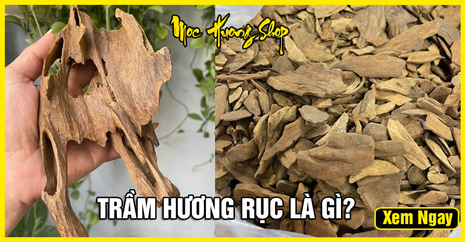Trầm Hương Rục là gì? Phân loại, Giá bán, Cách nhận biết, Công dụng Trầm Hương Rục là gì? Phân loại, Giá bán, Cách nhận biết, Công dụng