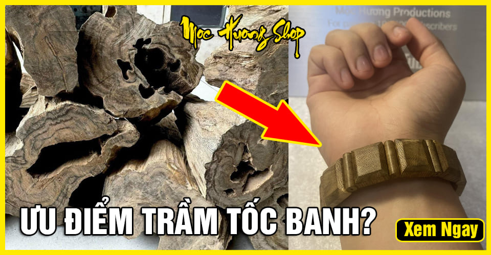 Trầm Tốc Banh là gì? Cách nhận biết, Đặc điểm, Giá bao nhiêu? Trầm Tốc Banh là gì? Cách nhận biết, Đặc điểm, Giá bao nhiêu?