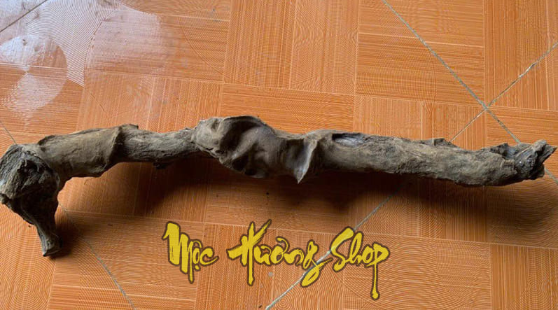 gỗ lũa hoàng đàn tuyết chun sụn