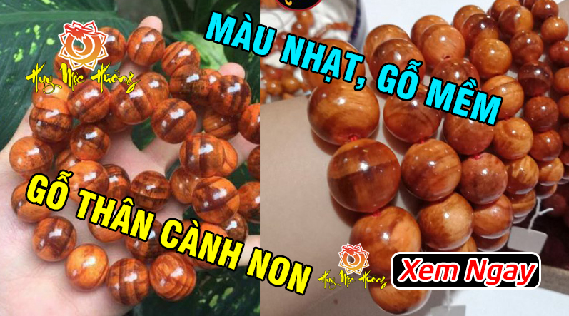 gỗ huyết long thân cành non