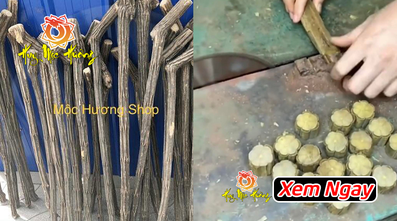 gỗ mộc liên hoa có giá bao nhiêu