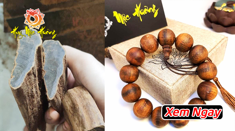 Gỗ hoàng đàn rễ chìm nước giá bao nhiêu