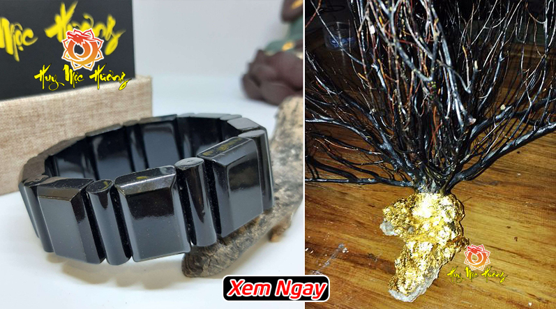 Vòng tay san hô đen mua ở đâu chuẩn nhất