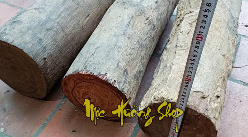 Gỗ Cẩm Chỉ là gì? Cách nhận biết gỗ Cẩm Chỉ, Giá bán, Phân loại?