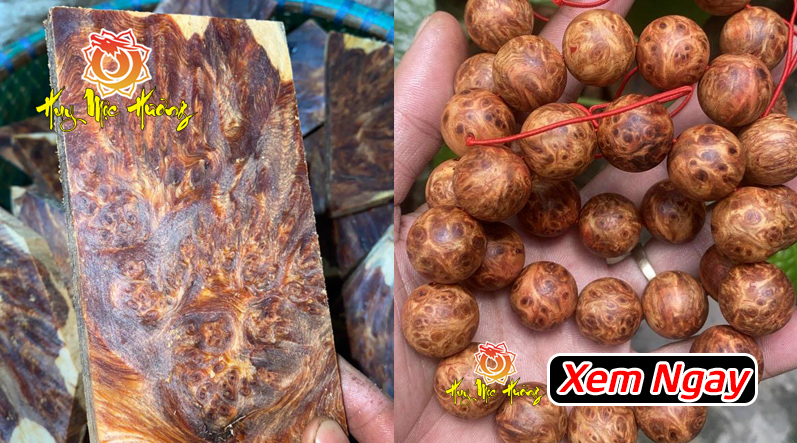 phân biệt gỗ nu huyết long