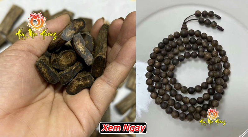 Kỳ nam là gì?