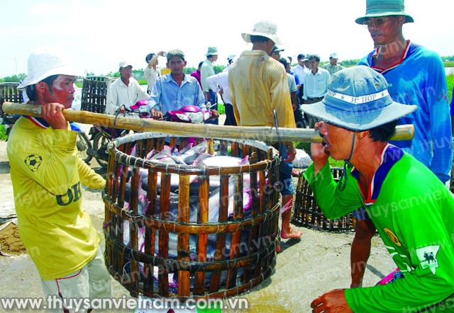 Gỡ khó cho cá, tôm