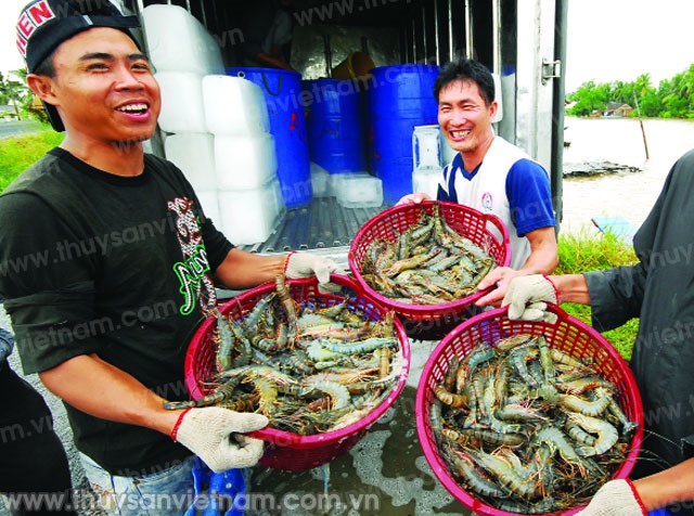 Và niềm vui sẽ quay trở lại?