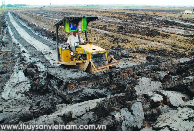 4 rào cản quy hoạch nuôi tôm