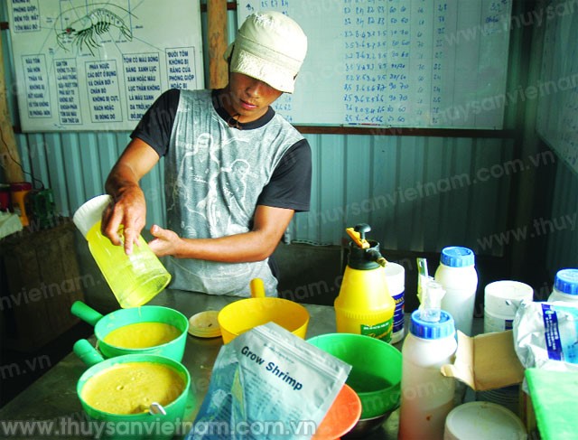 Hạn chế dịch bệnh tôm nuôi