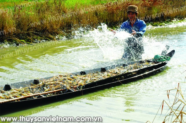 Bền vững 