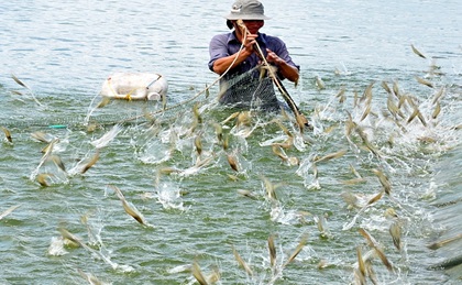 Sản phẩm xử lý nước thế hệ mới (PUR) đáp ứng an toàn sinh học và thân thiên môi trường, hiệu quả đối với màng sinh học (biofilm)