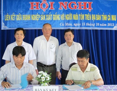 Cà Mau: Hội nghị liên kết giữa doanh nghiệp sản xuất giống với người nuôi tôm