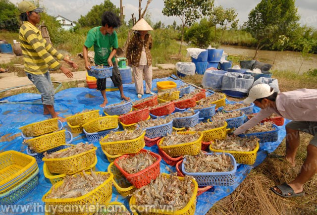 Giá tăng, nỗi lo tăng