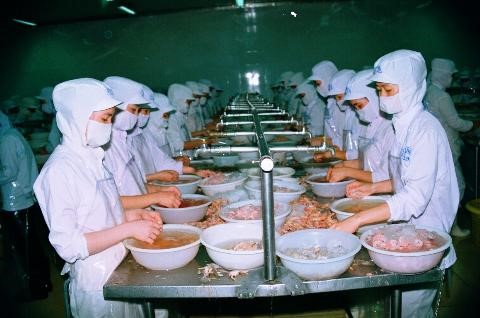 Tín hiệu vui cho con tôm Cà Mau
