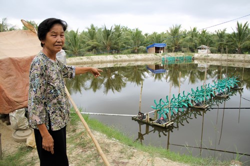 “Đánh cược” với con tôm