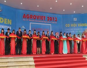 Ngành tôm năm 2013 đạt được kết quả khả quan