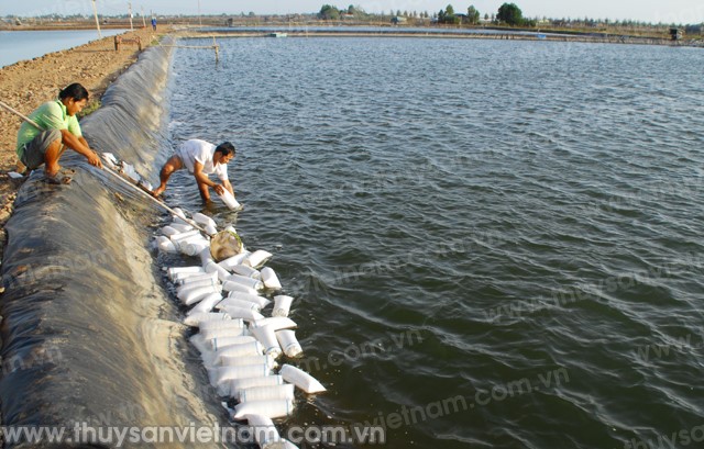 Thận trọng sau nhiều thất bại