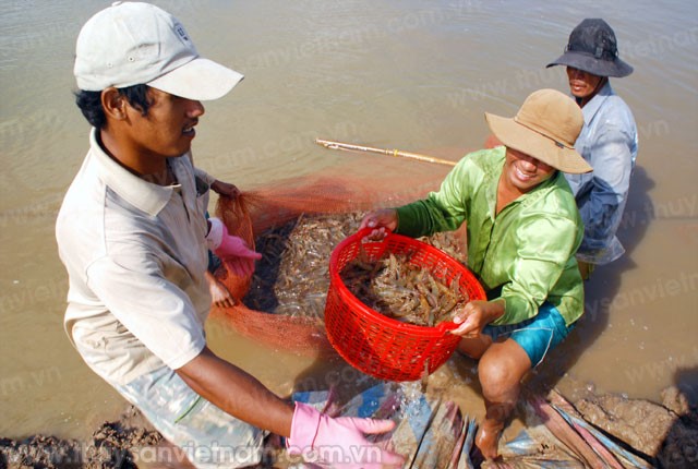 Vụ tôm 2014, vẫn phải rất thận trọng