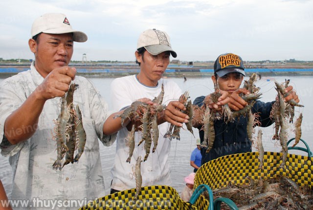 Đến bao giờ hết nhờ may - rủi?