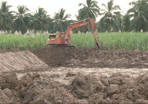 Sóc Trăng: Cảnh báo phong trào nuôi tôm tự phát