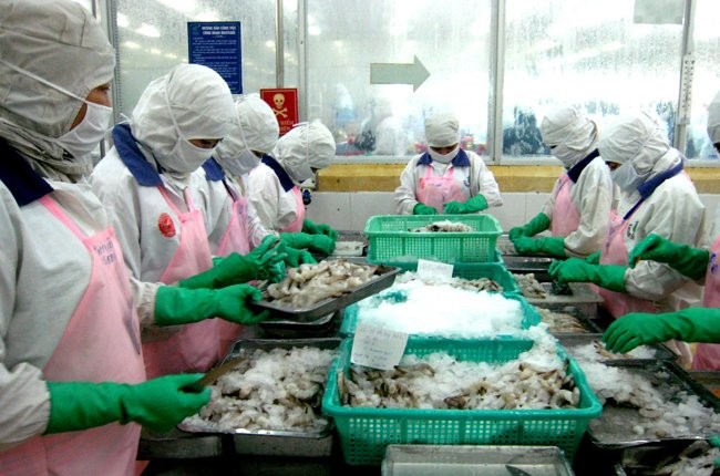 Con tôm 2014: cơ hội nhiều, rủi ro lớn