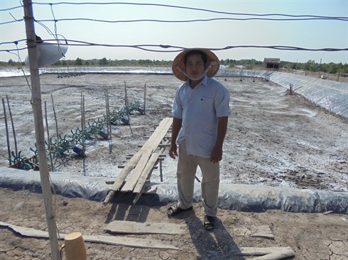 Nuôi tôm thẻ chân trắng
