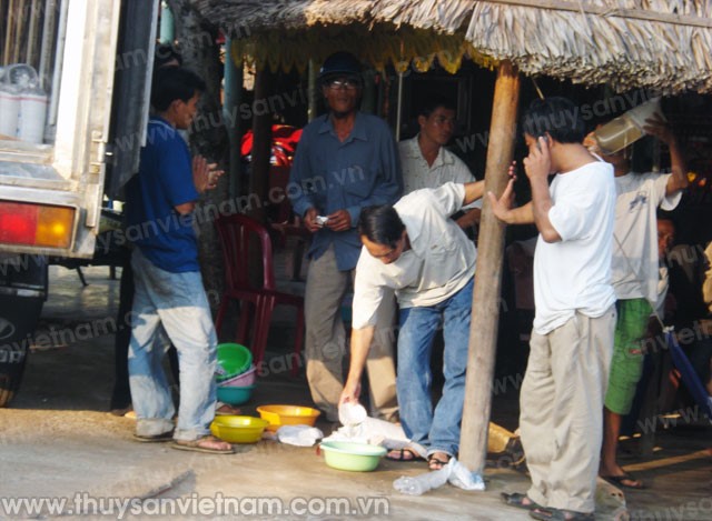Băn khoăn vụ nuôi mới