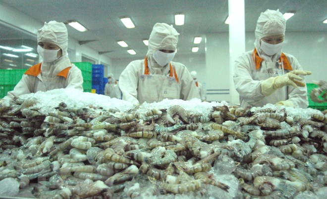 Xuất khẩu tôm tìm cách vượt khó khăn chồng chất