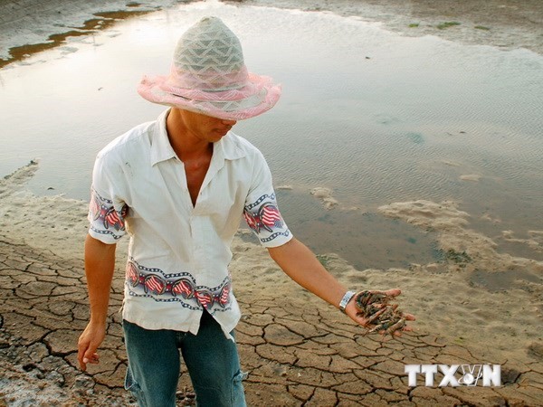 Bạc Liêu: Hơn 1.000ha đất nuôi tôm bị hoang hóa vì thiếu nước