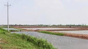 VietGAP - hướng phát triển tất yếu của nghề nuôi tôm nước lợ