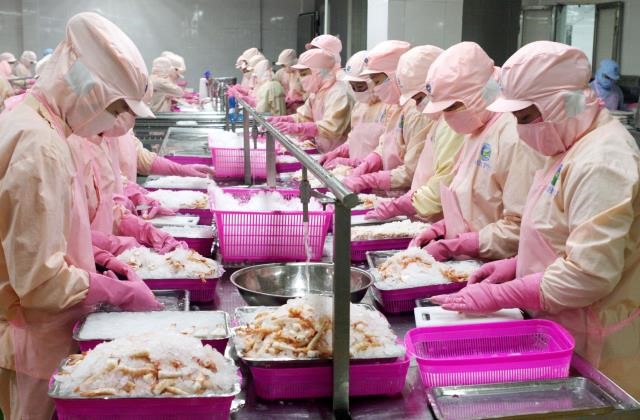 Ngành thủy sản “thắng lớn” nhờ tôm