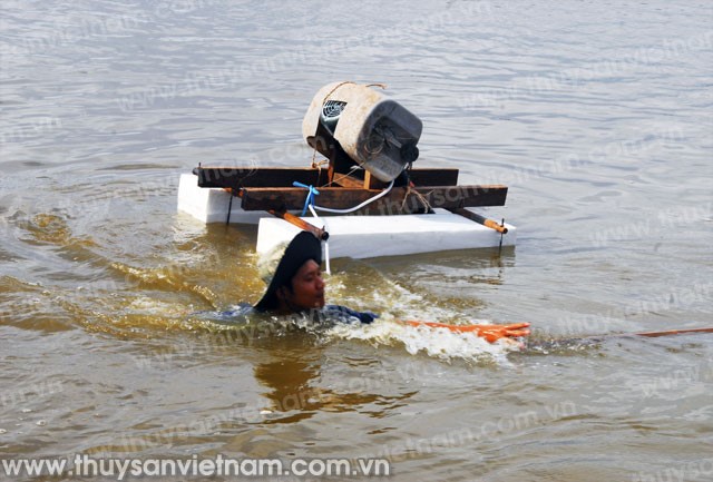 Hệ lụy từ vỡ quy hoạch trên tôm nuôi