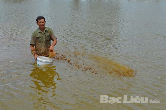 “Vua tôm” Võ Hồng Ngoãn: Nuôi tôm an toàn sinh học từ bã mía