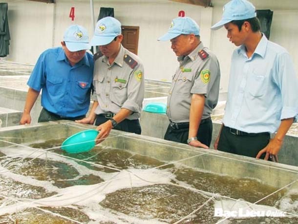 Chất lượng tôm giống và những cảnh báo