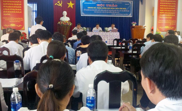 Cà Mau: Bàn giải pháp phòng chống dịch bệnh trên tôm nuôi