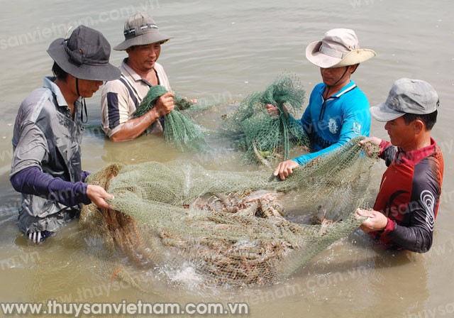 Quy hoạch cho tôm chưa thành