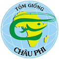 Tôm giống Châu Phi: Nhập thêm tôm bố mẹ chất lượng cao